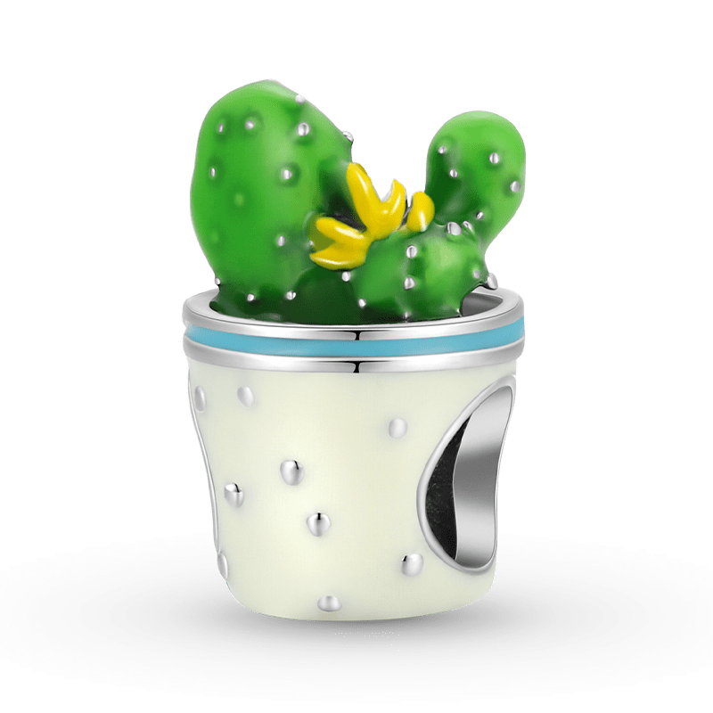 Cactus Charm