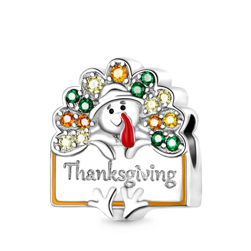 Turkey Charm