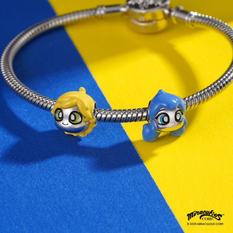Miraculous Adrien Charm