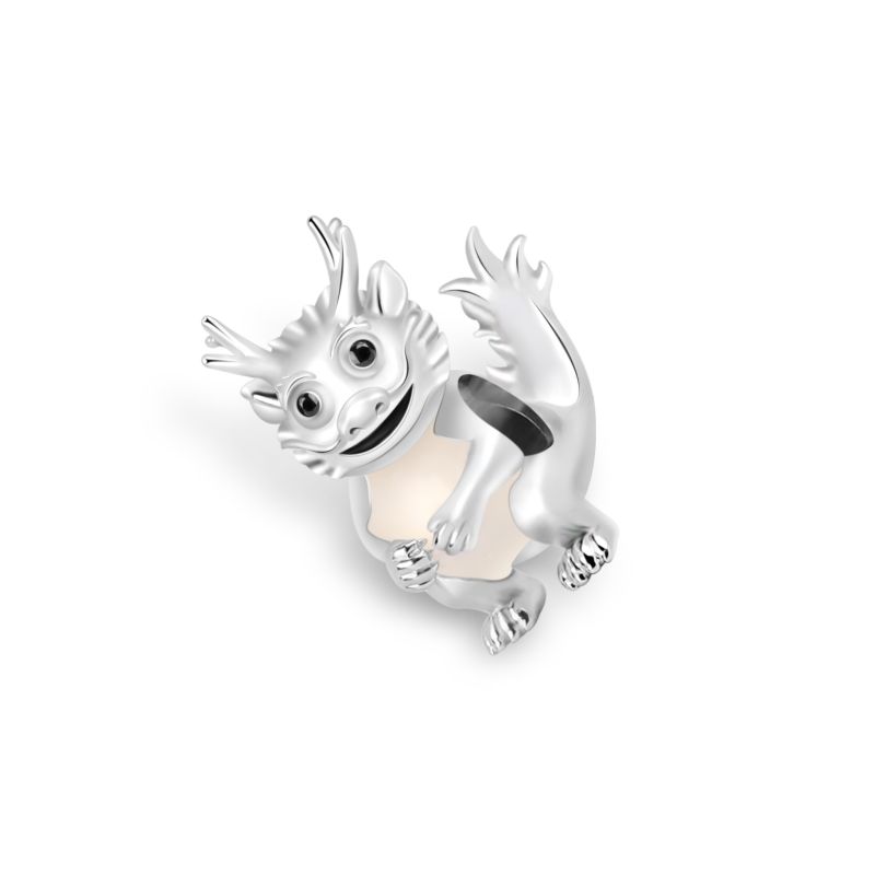 Cartoon Dragon Charm