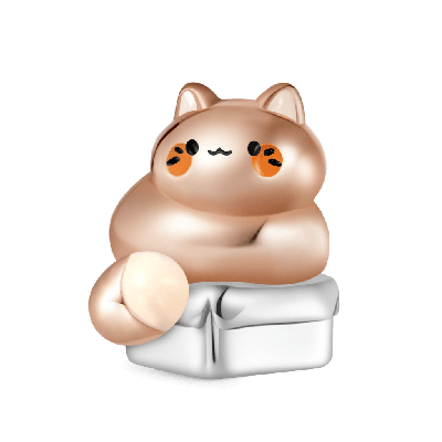 Mochi the Cat Box Charm