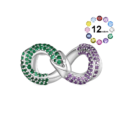 Ouroboros Charm
