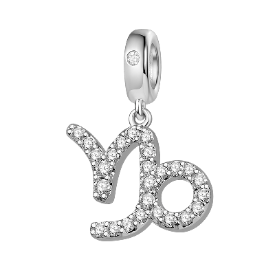 Capricorn Charm