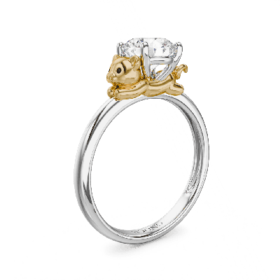 Pig Ring