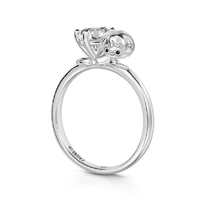 Harry Potter Embraces Ring