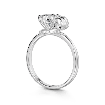 Ron Weasley Embraces Ring